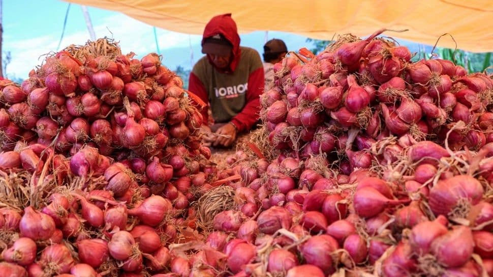 Gara-gara Bawang 700 Ribu : Pentingnya Jaga Narasi Biar Brand Nggak Blunder 